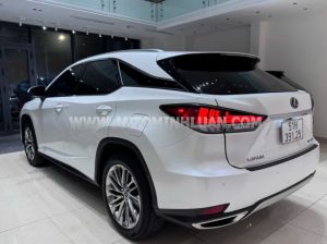 Xe Lexus RX 300 2021