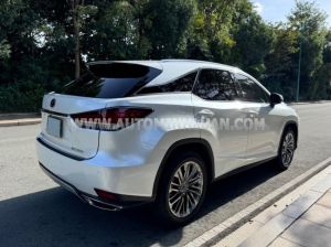 Xe Lexus RX 300 2021