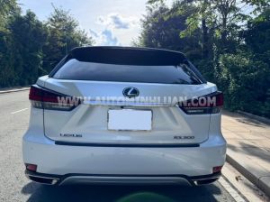Xe Lexus RX 300 2021