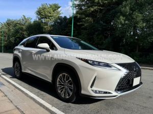 Xe Lexus RX 300 2021