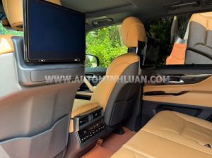 Xe Lexus LX 600 Urban 2024