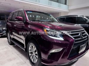 Xe Lexus GX 460 2016